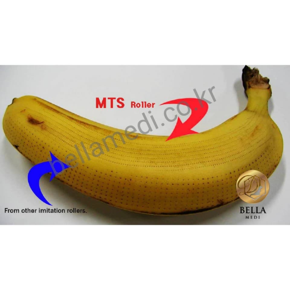 MTS ROLLER (Micro Needle)