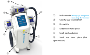 Newest Model Fat Freeze Machine 4 Cryo Handles Kryolipolyse Equipment