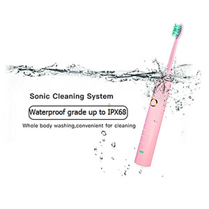 Rechargeable electronic toothbrush FDA Approved Oral care sonic electrical toothbrush with toothbrush head