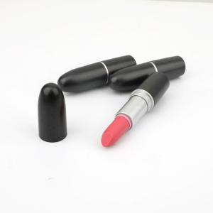 Small Quantity  Private Label 10 Colors Fashion Long Lasting Lip Stick Waterproof Lipstick