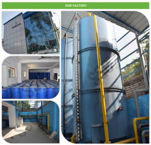 Trusted Manufacturer of Eucalyptus Essential Oil  of High Quality