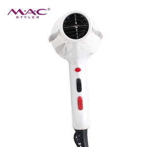 Wholesale Blow Dryer With Brushless Motor Professional Household And Salon AC Motor Hair Dryer