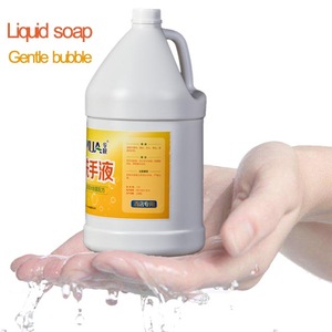 Wholesale  Economical Liquid Hand Wash 1 gal / Liquid hand soap For Personal Care  3.8L