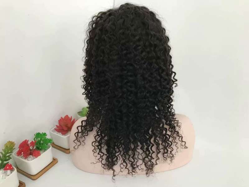 Unprocessed curly human hair wigs full lace