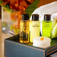 Luxury Hotel Charming Personal Care Disposable Shampoo & Hotel Amenities