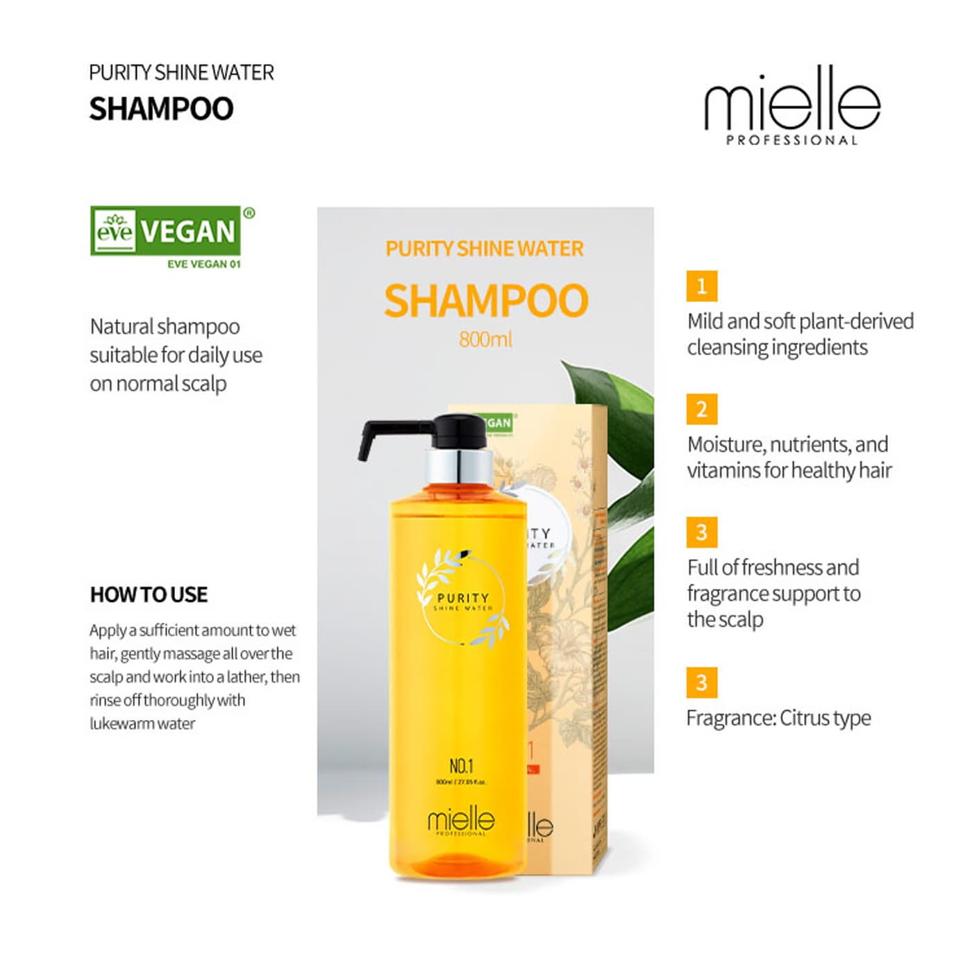 EVEN GREEN Plant Derived Ingredients Shampoo for General, Mild, and Hair Loss Made in Korea