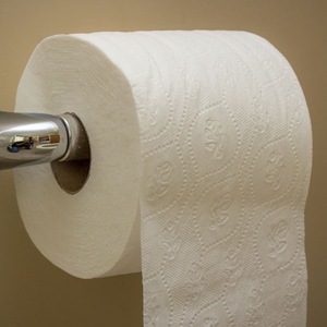 Factory direct Hygenic Soft Absorbent Flushable white 100% Virgin 2 ply Toilet Paper