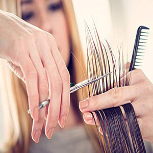 Hair Scissors Fine Adjustment Screw 6.5 inch- 1 Straight Edge Hair Scissor, 1 Texturizing Thinning Shears