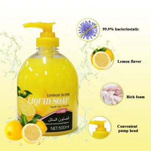 New Arrival Best Selling Products Natural Moisturizing Bubble Hand Wash Liquid Soap