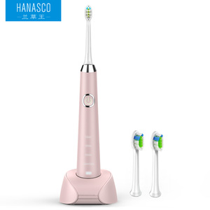 Private label service China shenzhen manufacturer sonic toothbrush H3