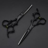 Black Dragon 6.0 inch Professional Dragon Handle 440C Salon Hair Cutting Scissor Hairdressing Thinning Shears (Scissors set)