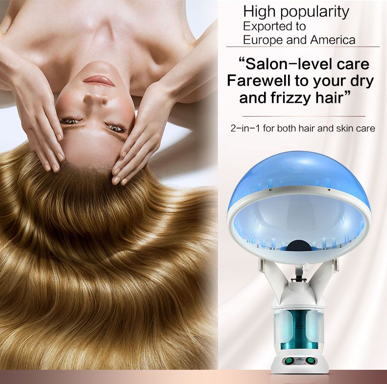 skin and hair care/ 2020 Popular Top Quality Factory face beauty Hot Nano Facial and hair steamer