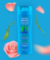 SEMPREBELLA REFRESH & SOFTNESS SHAMPOO 400ML