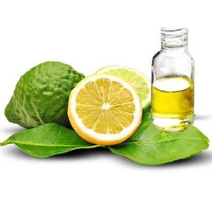 Bergamot Oil Citrus Bergamia - 100% Pure and Natural Therapeutic Grade Essential Oil
