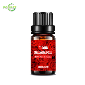 Gmp Factory New Arrival Frankincense Essential Oil Rosemary Natural Essential Oils 6*10Ml