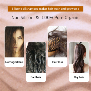 High-quality Herbal Natural Argan Oil Hair Shampoo in Bottle