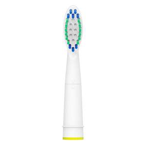 New design replacement toothbrush head