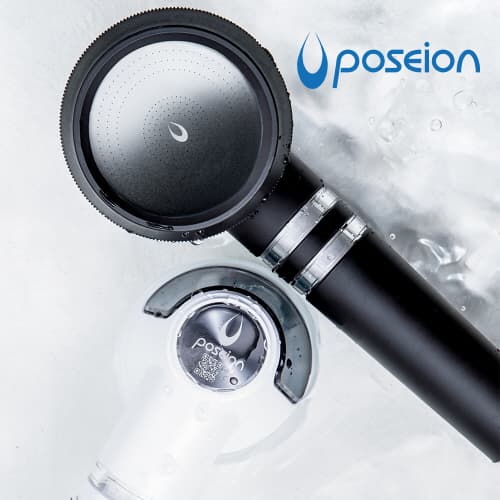 Poseion Beauty Care Shower head