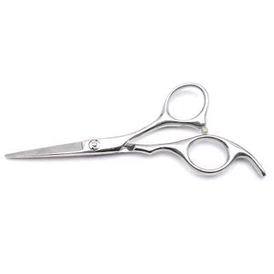 Professional Hair Cutting Salon Barber Scissors Hairdressing Tool