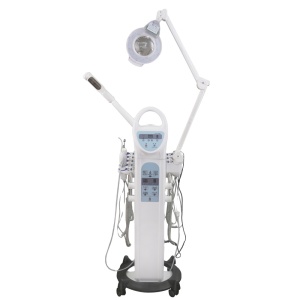 Summer season hotsale 9in1 Multi-functional Skin Care Beauty  Salon Equipment for opening the pore