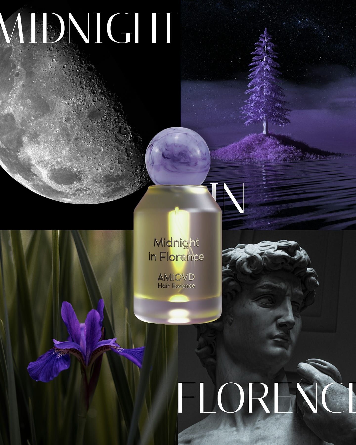 Midnight In Florence - Amioud - Eau de Parfum x Capelli 50ML