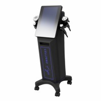 FUJI - New Japanese beauty equipment including facial, cavitation, radio frequency (RF), EMS, electroporation