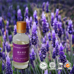 high quality french lavender oil price essential oil with private label