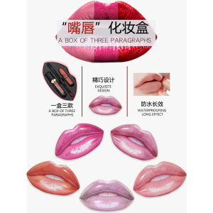 Private label wholesale mouth container long lasting lipgloss waterproof lip liner matte Cosmetics lipstick kit
