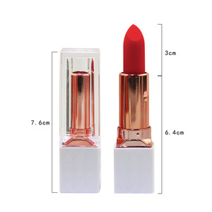 12 colors matte make your own cosmetics lipstick no brand lipstick