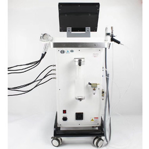 Best Price Hydro Dermabrasion Machine / Facial Skin Care for Sale