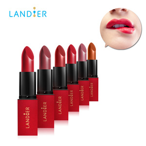 Best Skin Care Organic Natural Ingresients OEM Matte Makeup Lipstick for Women