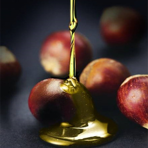 Cosmetic Grade Hazelnut Oil Press Cold Pressed Health Carrier Oil