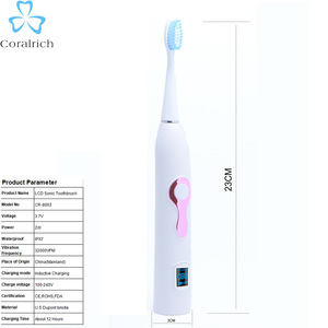 Dental Care Oral Hygiene 110-240V Toothbrush Electric China