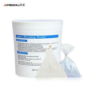 factory price  free samples salon best private label bulk organic color blue professional hair bleaching powder for hair