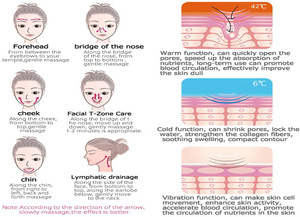 free sample home use facial massage machine Iontophoresis Equipment Portable microcurrent salon beauty equipment