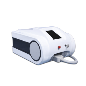Guangzhou Beri 1200W Portable small size 810nm Diode laser removal laser Beauty equipment
