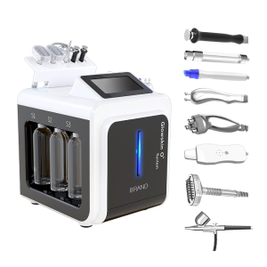 Multi-functional 10 in 1 high frequency facial machine aqual peeling oxygen facial machine OEM customization facial machine