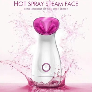 Private Label Portable Electric Cheap Nano Face Steamer Handheld Hot Facial Steamer with ozone for Home Use