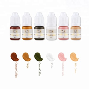 Professional Semi Permanent Makeup Microblading Pigment Ink Eyebrow/Lip/Eyeliner Embroidery Tattoo Color Ink Tattoo Printing Ink