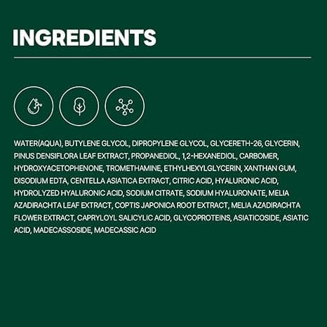 ROUND LAB Pine Calming Cica Ampoule 30ml