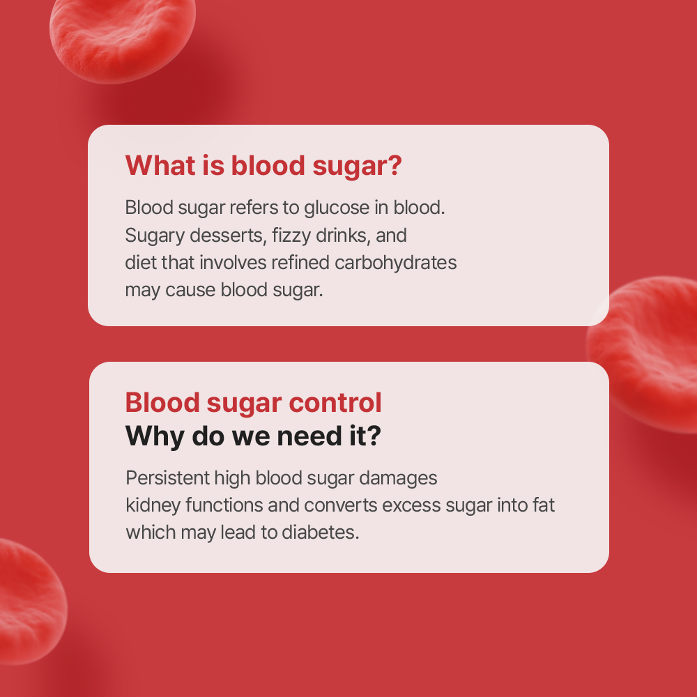 Triple Balance (Blood Sugar Care) - Cholesterol, Digestive Health Supplements