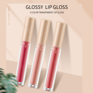 Wholesale Custom Lip Gloss Tubes Lip Tint Waterproof Long Lasting liquid lipstick Velvet Matte Lip Gloss Private Label