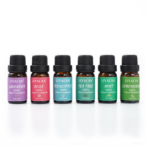100% Pure Natural Essential Oil Gift Set Lavender Rose Eucaluptus Tea Tree Aroma Essential Oil