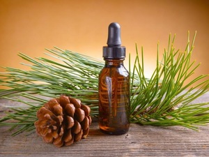 10ml Essential Pine Needle Oil 100 Pure and Natural Aromatherapy Grade Essential Oil