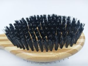 2021 New Product Wooden Brush Natural Bristles Brush