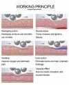 2023 New Professional 2 in 1 Endos Inner Balls Roller Fat Reduction Skin Rejuvenation Machine