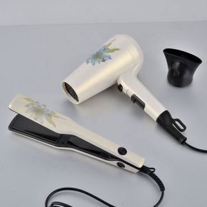 2100W BY -580  hair dryer colorful professional hair dryer