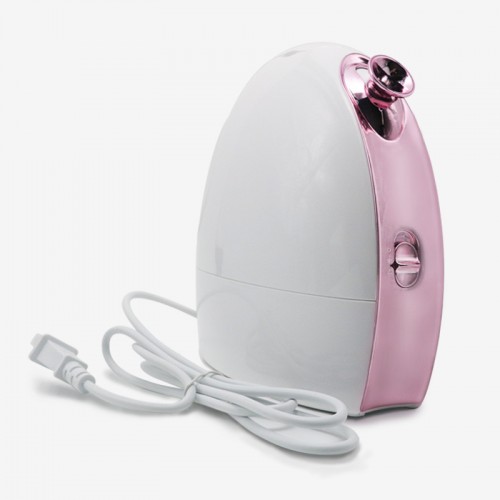 CE RoHS Certified Face Humidifier Professional Facial Steamer Nano Ionic for Skin Moisturizing skin beauty