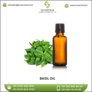 Factory Direct Supply Basil Essential Oil at Best Price