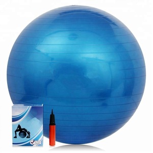 Fitness Exercise Gym Fit Yoga Core Ball 65CM 26&quot; Abdominal Back leg Workout